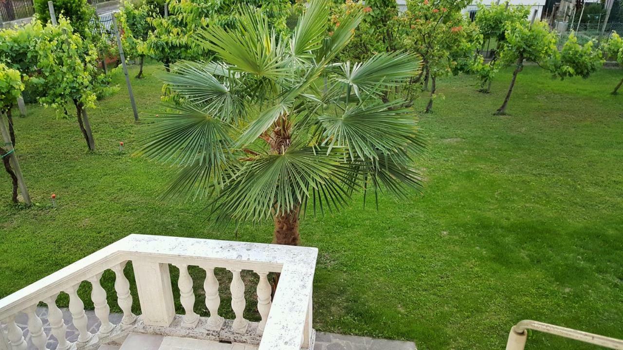 Casa Del Vigneto - New Near Venice - Rooms+Bathroom - Independent Spinea Zewnętrze zdjęcie